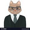 MrCat72