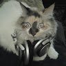 KeoKitty