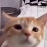 blagbgbabga