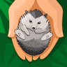 Bigdcap