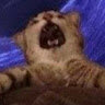 kjnkjnkjn