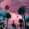 anthonyluv02