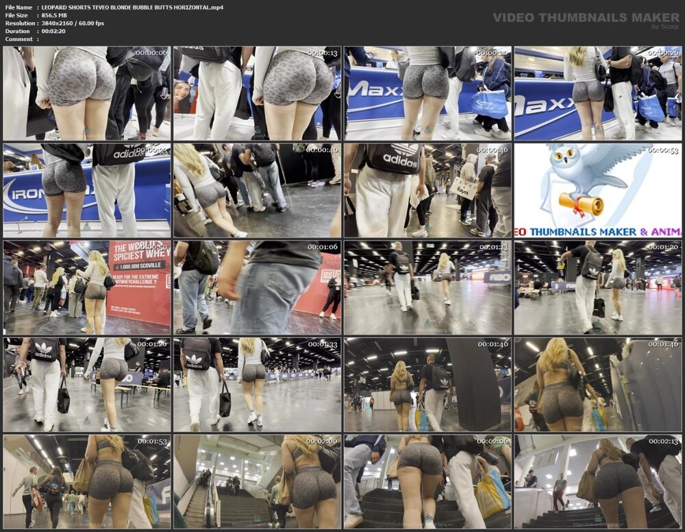 LEOPARD SHORTS TEVEO BLONDE BUBBLE BUTTS HORIZONTAL.mp4.jpg