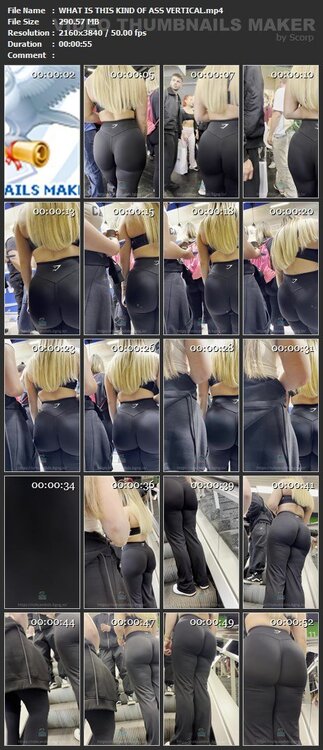 WHAT IS THIS KIND OF ASS VERTICAL.mp4.jpg