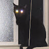 Lucidmeow