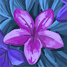 Loobymaven